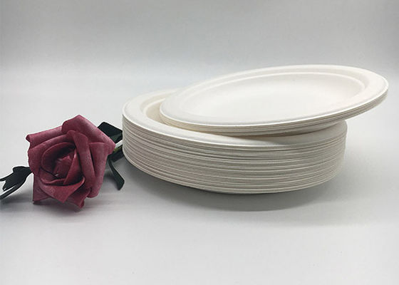 Biodegradable Disposable 6 inch sugarcane bagasse food Round Plates