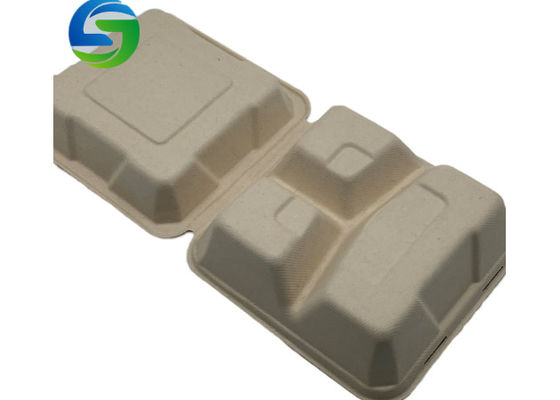 Compostable 9 Inch×9 Inch Sugarcane Bio Food Packaging