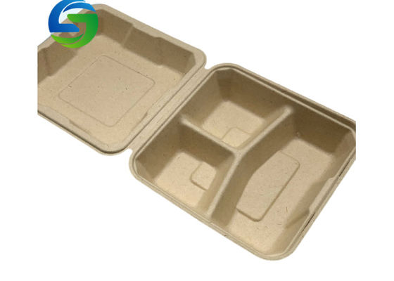 Compostable 9 Inch×9 Inch Sugarcane Bio Food Packaging