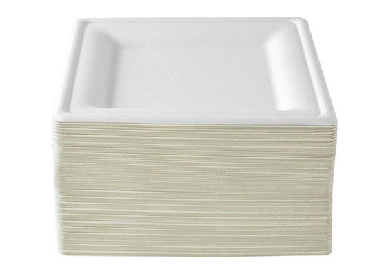 10 Inch Square Dessert Sugarcane Biodegradable Plates