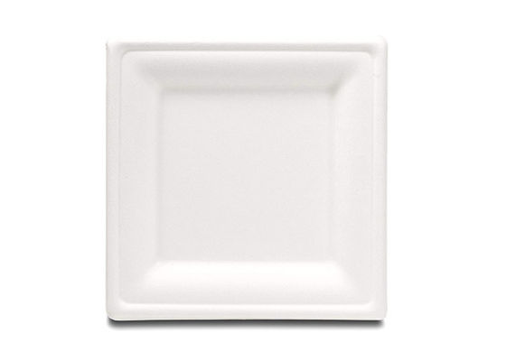 10 Inch Square Dessert Sugarcane Biodegradable Plates