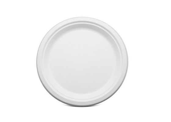 6 Inch 6g Disposable Bagasse Bio Food Packaging