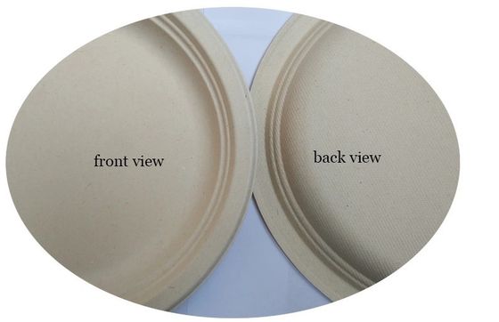 10 Inch 17g Eco Friendly Sugarcane Paper Plates