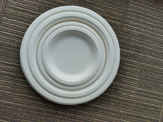 6 Inch 6g Disposable Bagasse Bio Food Packaging
