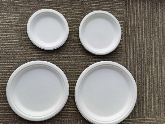6 Inch 6g Disposable Bagasse Bio Food Packaging
