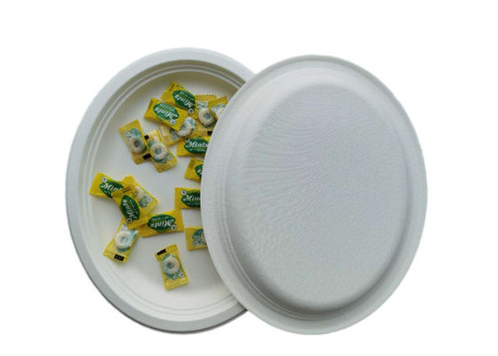 10 / 12 Inch Oval  Restaurant Nature Bagasse Paper Plates