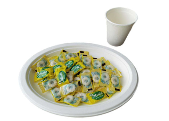 12 Inch  Oval Dinner Biodegradable Sugarcane Bagasse Plates