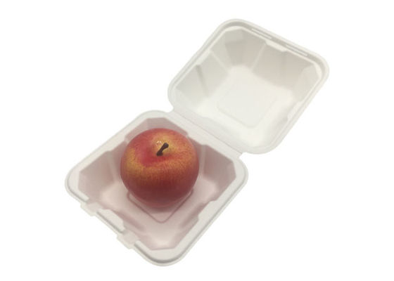 6 Inch Sugarcane Eco Hinged  Biodegradable Takeout Containers
