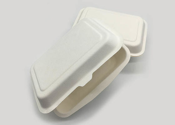 7×5 Inch Natural  Biodegradable Takeaway Food Containers