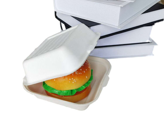 Bagasse Burger 6 Inch Biodegradable Takeout Containers