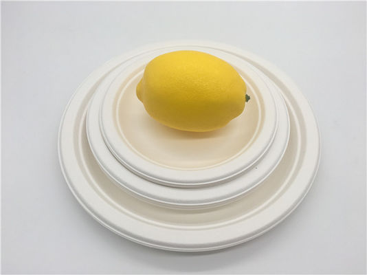 6 Inch  Microwavable Party Bagasse Disposable Plates