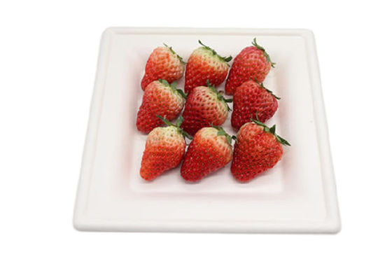 Square Sugarcane Pulp Plates
