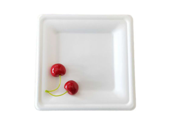Square Sugarcane Pulp Plates