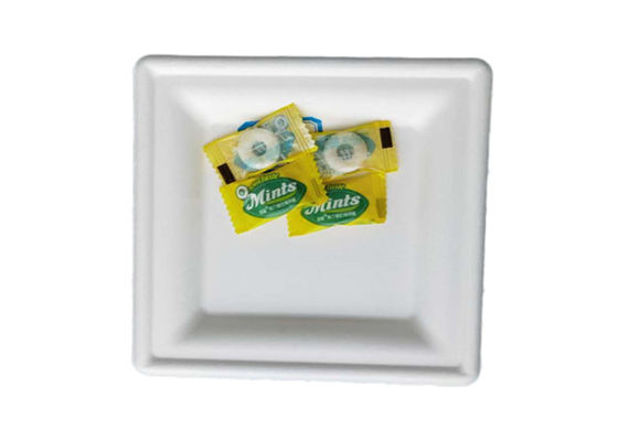 Square Sugarcane Pulp Plates