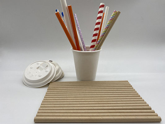 146×6mm Earth Friendly Paper Straws