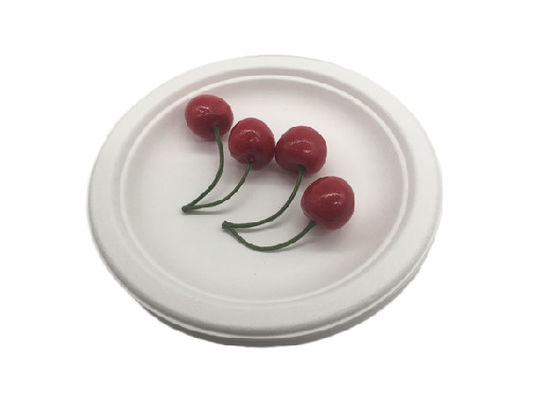 6 Inch  Microwavable Party Bagasse Disposable Plates