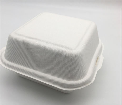 6" Disposable Sugarcane Bagasse Hamburger Clamshell Box