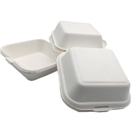 6" Disposable Sugarcane Bagasse Hamburger Clamshell Box