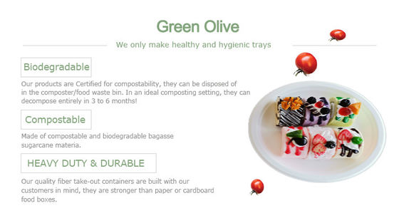 9 Inches White 100% Compostable Biodegradable Food Plate, For Food And Vegetables