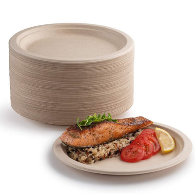 9 Inches White 100% Compostable Biodegradable Food Plate, For Food And Vegetables