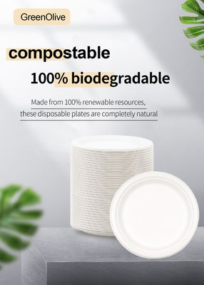 9 Inches White 100% Compostable Biodegradable Food Plate, For Food And Vegetables