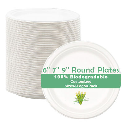 Disposable Sugarcane Bagasse Compostable Pulp Tableware Party Paper Plate